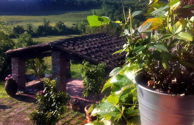 Podere Terreno alla Via della Volpaia - Foto 57