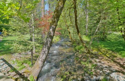 Secluded River Cabin Near Sly Park & Apple Hill - Photo 8