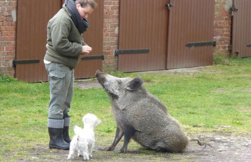 Wassermühle Stemmen - Foto 16