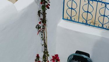 Rooms of Nectar - Foto 5