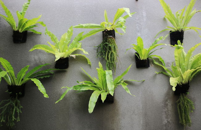 Ume Sri Villas Ubud - Foto 40