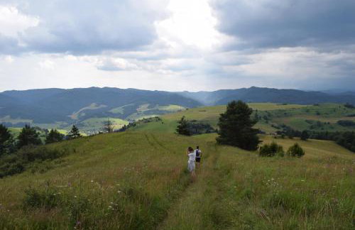 Willa Przekop - Foto 66