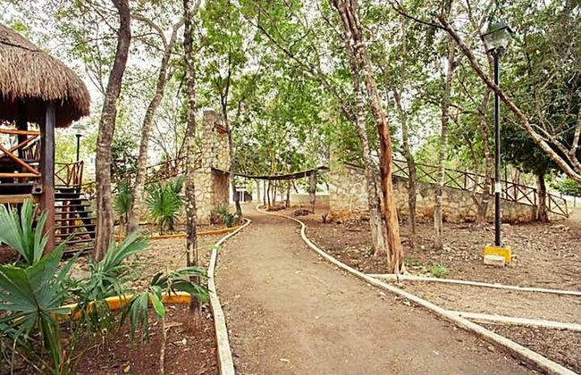 Departament & Pool and Parking Ariany - Foto 20