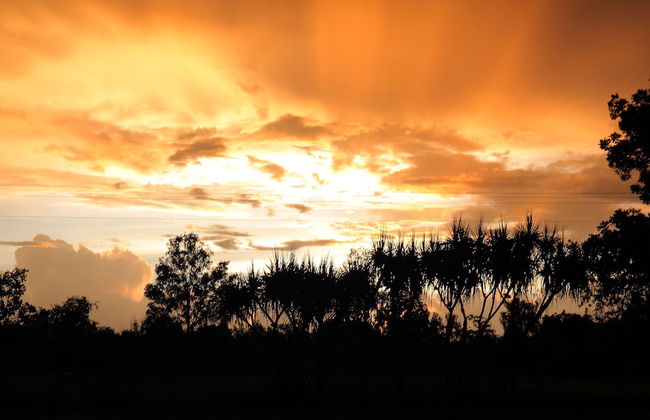 Berry Creek Bush Retreat - Foto 22