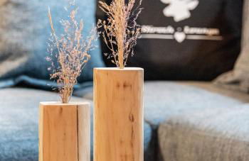 Hirsch Chalet #Sauna - Foto 13