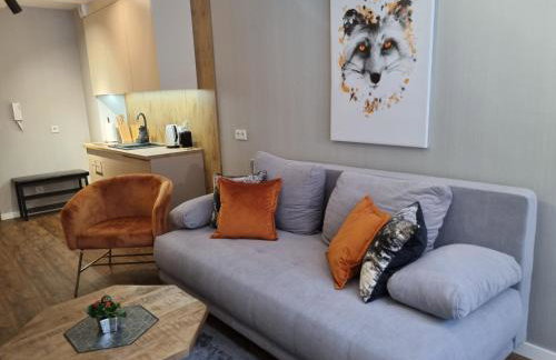 Apartament SPA 10 Resort Kozubnik blisko Szczyrk - 5D Apartments - Foto 9