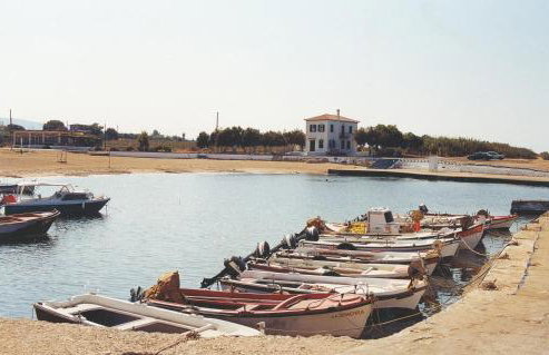 Terpsichore Apartments - Foto 34