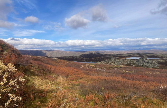 4 Person Holiday Home in Geilo-by Traum - Photo 24