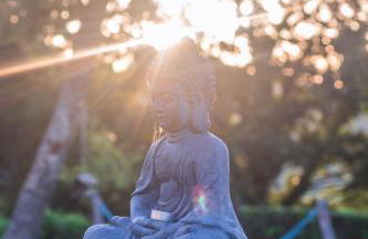 Farm stay Synergia - Hiden treasure - Photo 8