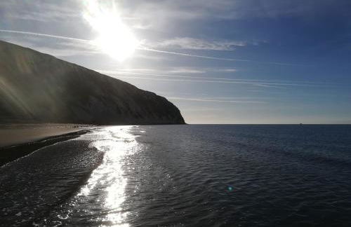 Fossils Retreat - Photo 6