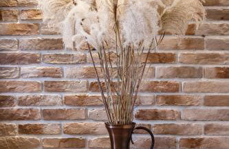 Noclegi na Ogrodowej - Foto 14