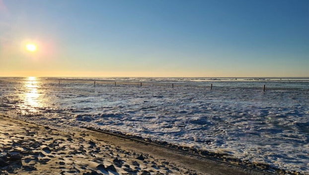 Janssen Comfortable Holiday Residence - Foto 3, Habitación