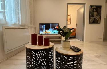 Le Cocon de la Cathédrale au cœur de Metz - Foto 7