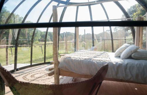 Dihan Evasion - Foto 16