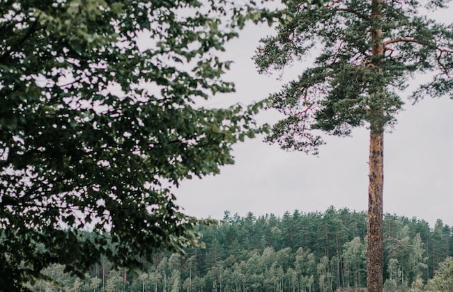 Pastorskoe Lake Holiday Park - Foto 63