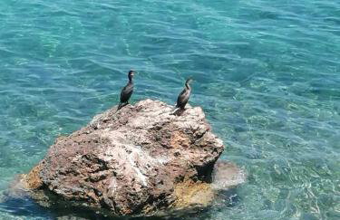 Villa Anna - Foto 22