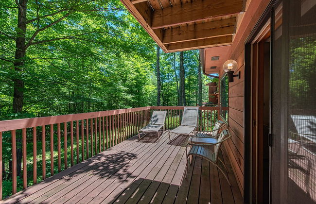 The Rushes - Foto 21