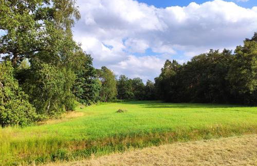 MIODOWA SADYBA Domki całoroczne Kluczbork - Foto 80
