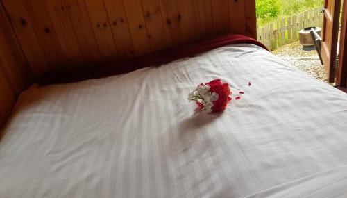 Cozy Cabin Retreat - Sleeps 2 & a Child - Foto 3