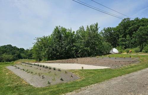 Domaine de Massoulac - Foto 73