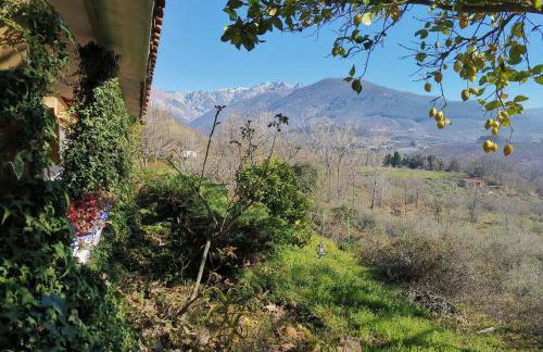 Casa Rural: La Casa Mágica de Gredos - Foto 36