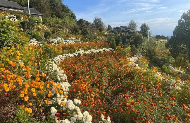 Prakriti Resort and Organic Farm - Foto 60