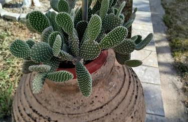 Riverside Αpartments - Foto 43