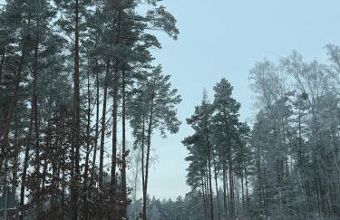 Warmia Domek Bukowy - Foto 46