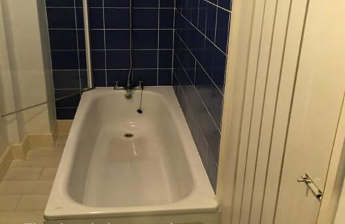 Sand Martin - Foto 11