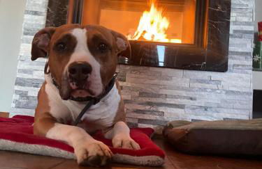 Pace, Luminosità e Comodità a due passi dal Garda - Foto 19