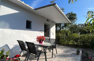 Antigone’s garden - Photo 1