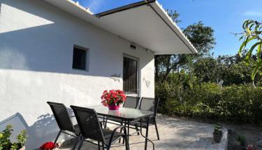 Antigone’s garden - Foto 1