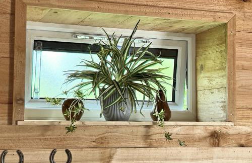 TVF Stable Suites - Foto 28