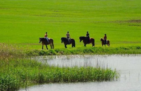 5 Bedroom Pet Friendly Home In Srokowo - Foto 28