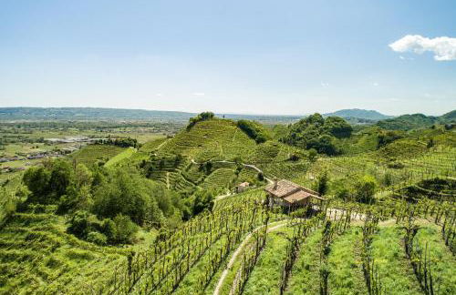 Oasi di pace nel sito UNESCO del Prosecco DOCG - Foto 10