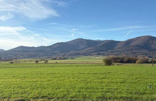 Gîte le Nid - Foto 27