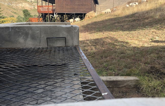 Groenhoek Game and Guest Farms - Foto 55