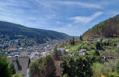 Ferienwohnung Panoramablick - Foto 33