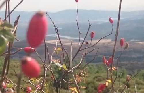 Estrella rural casa rural en la Sierra de Madrid - Foto 47