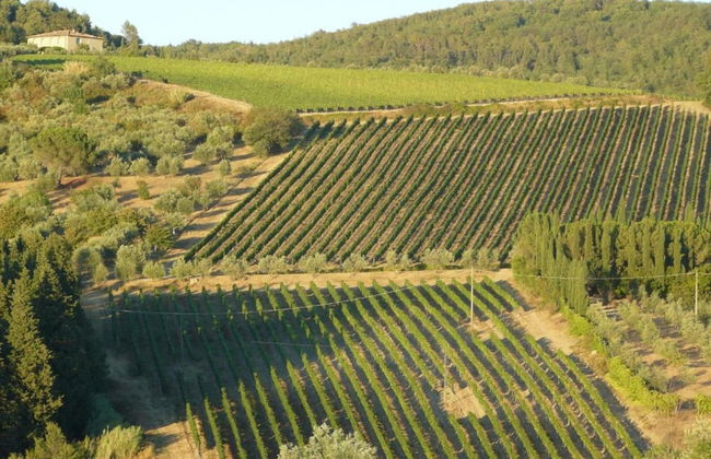 Beautiful Home in Lizzanello - Foto 35