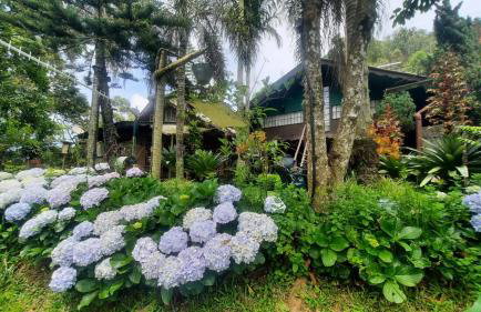 Chalé Pakere Montanha Lumiar - Conforto a mais de 1000 metros de altitude junto a natureza, wifi, piscina, sauna e água de nascente - locação do chalé sem prestação de serviços - Foto 18