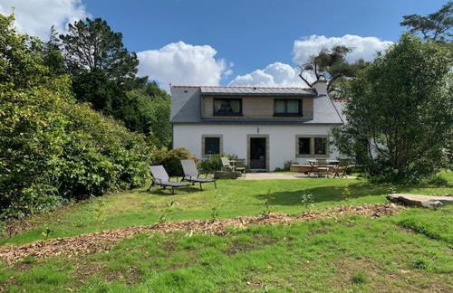 Cottage Tea Mamm , écrin de verdure et son jardin de thé, 3 étoiles - Foto 3