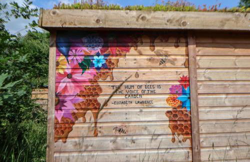 Cook's Flat - Foto 24