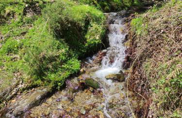 El rincón de Soto - Foto 36