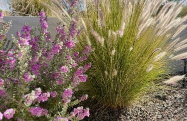 Poppy Ranch Pioneertown - Foto 68