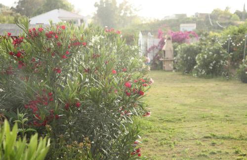 The Dragonfly Retreat - Photo 66