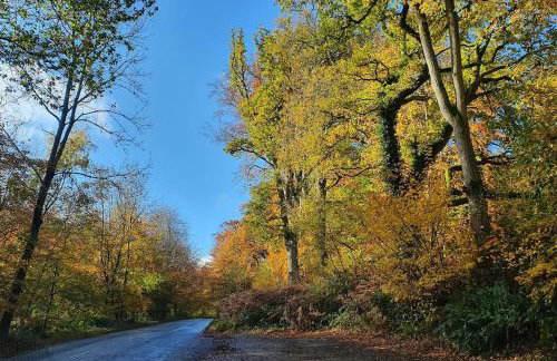 Delightful Country Cottage in a lovely rural area - Foto 32