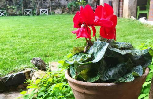 Cal Mestre - Apartament 4 pax. 1er pis - Foto 1