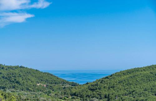 House Abatros - Foto 41