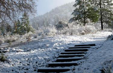 Fivespot Cabin - Foto 37